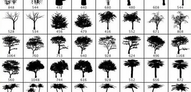 Set Pennelli Di Alberi Per Photoshop Free Download