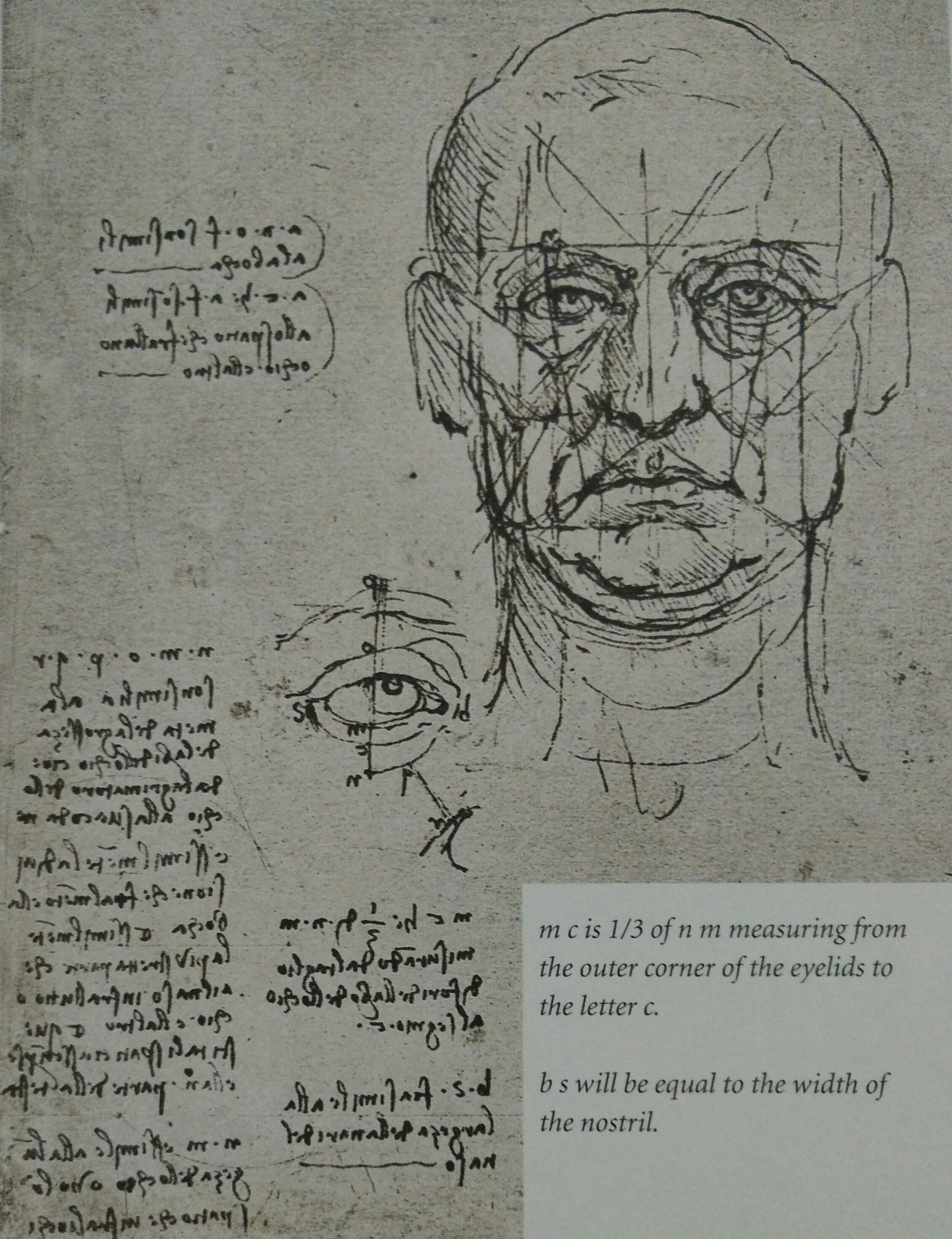 Leonardo da Vinci Anatomy References | 3DArt
