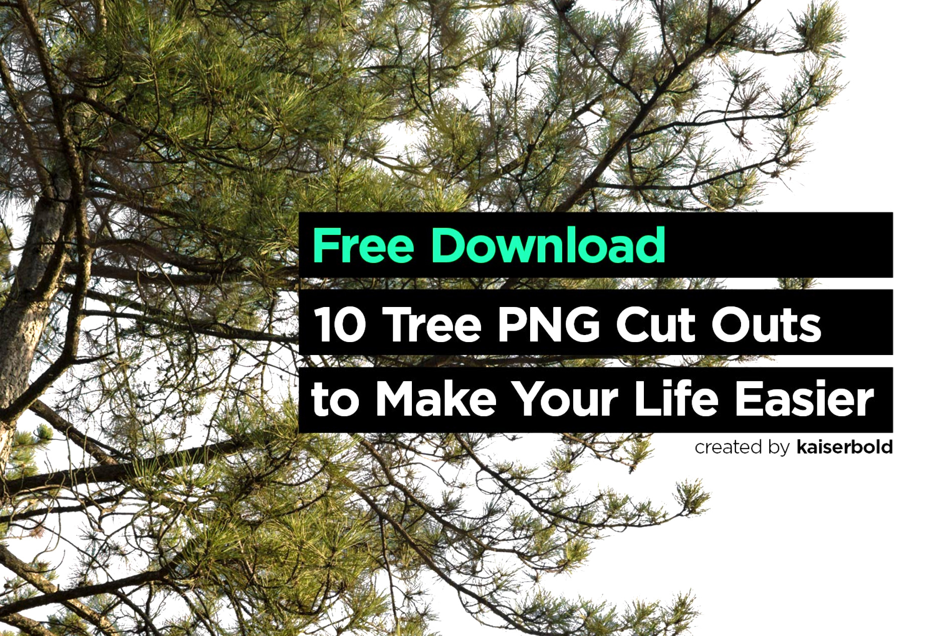 Download 10 Tree PNG to use in 3DArt