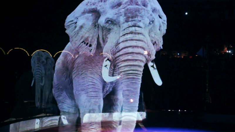 Holographic Animals at Circus | 3DArt
