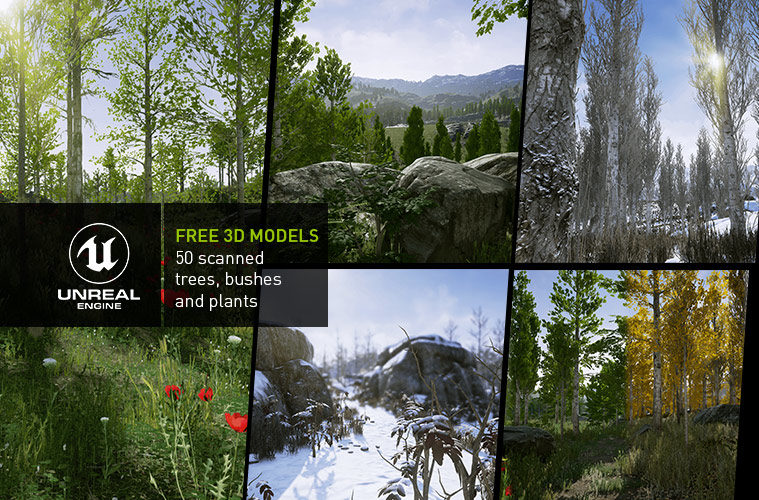 Download Free 3d Scanned Trees And Plant Models 3dart